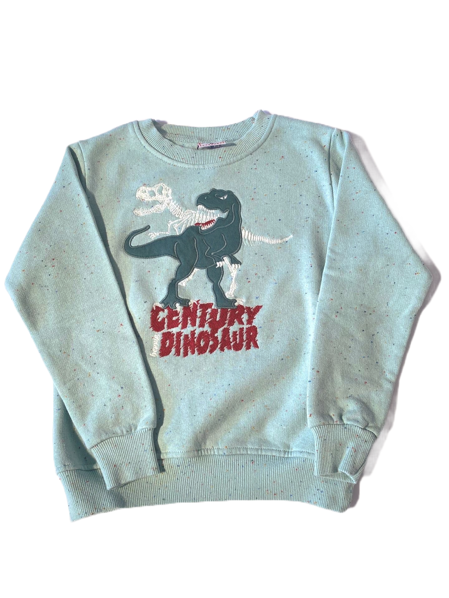 Sweat Century Dinosaur