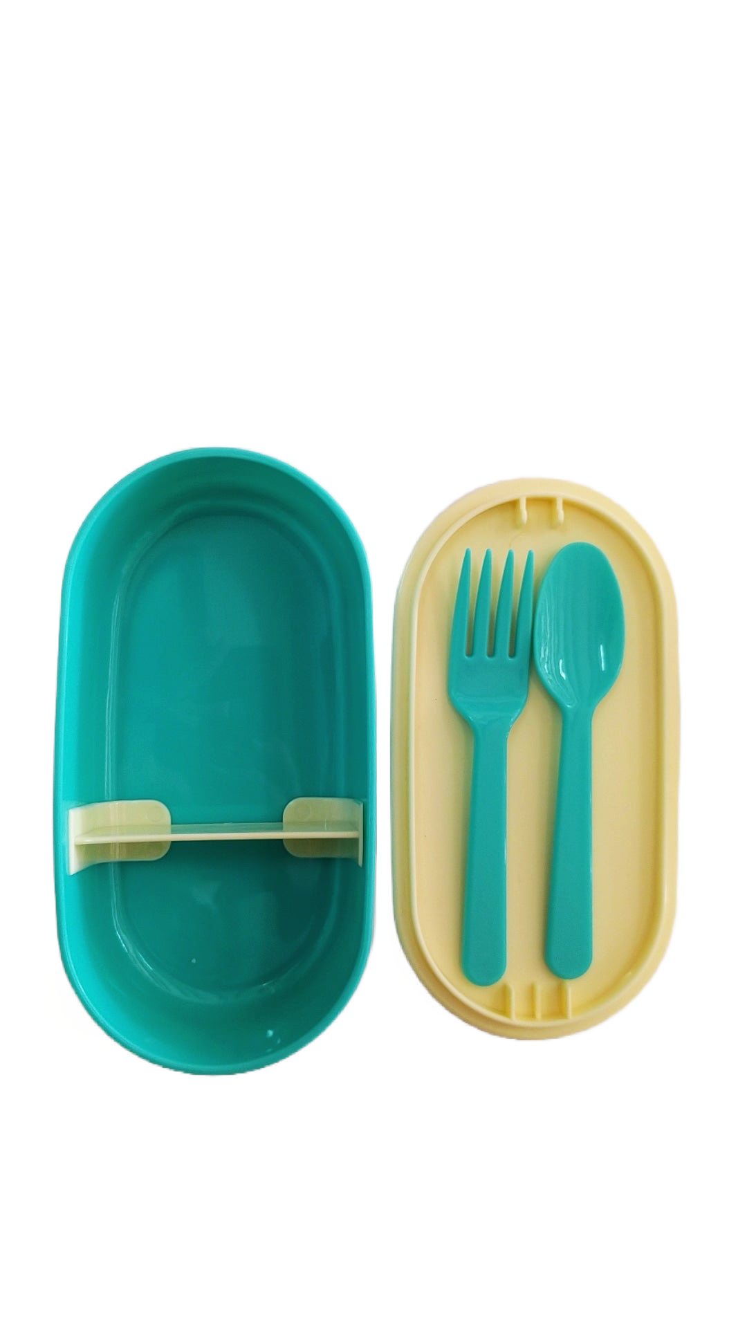 Bento Box Wild Wonders