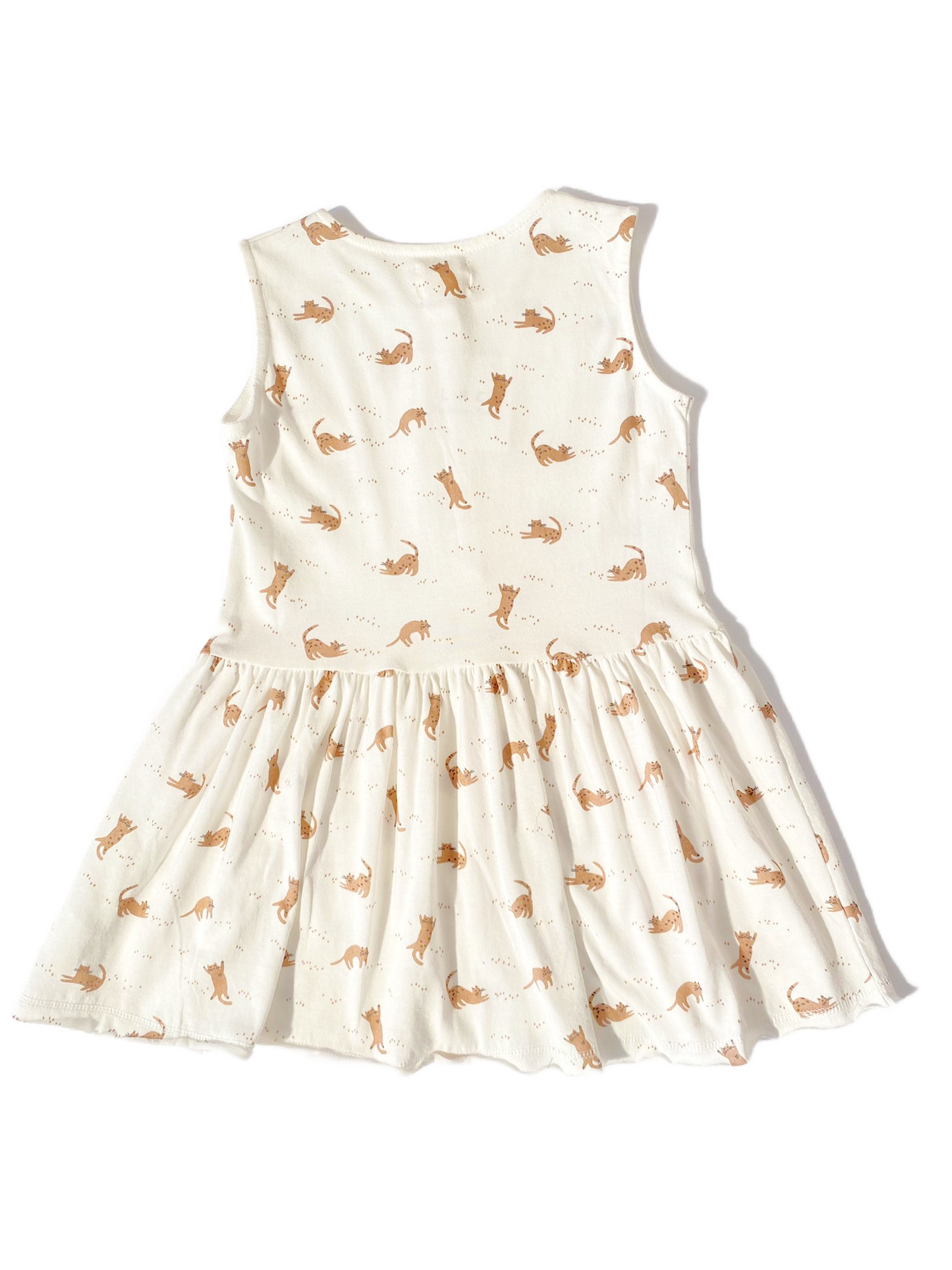 Robe chatons