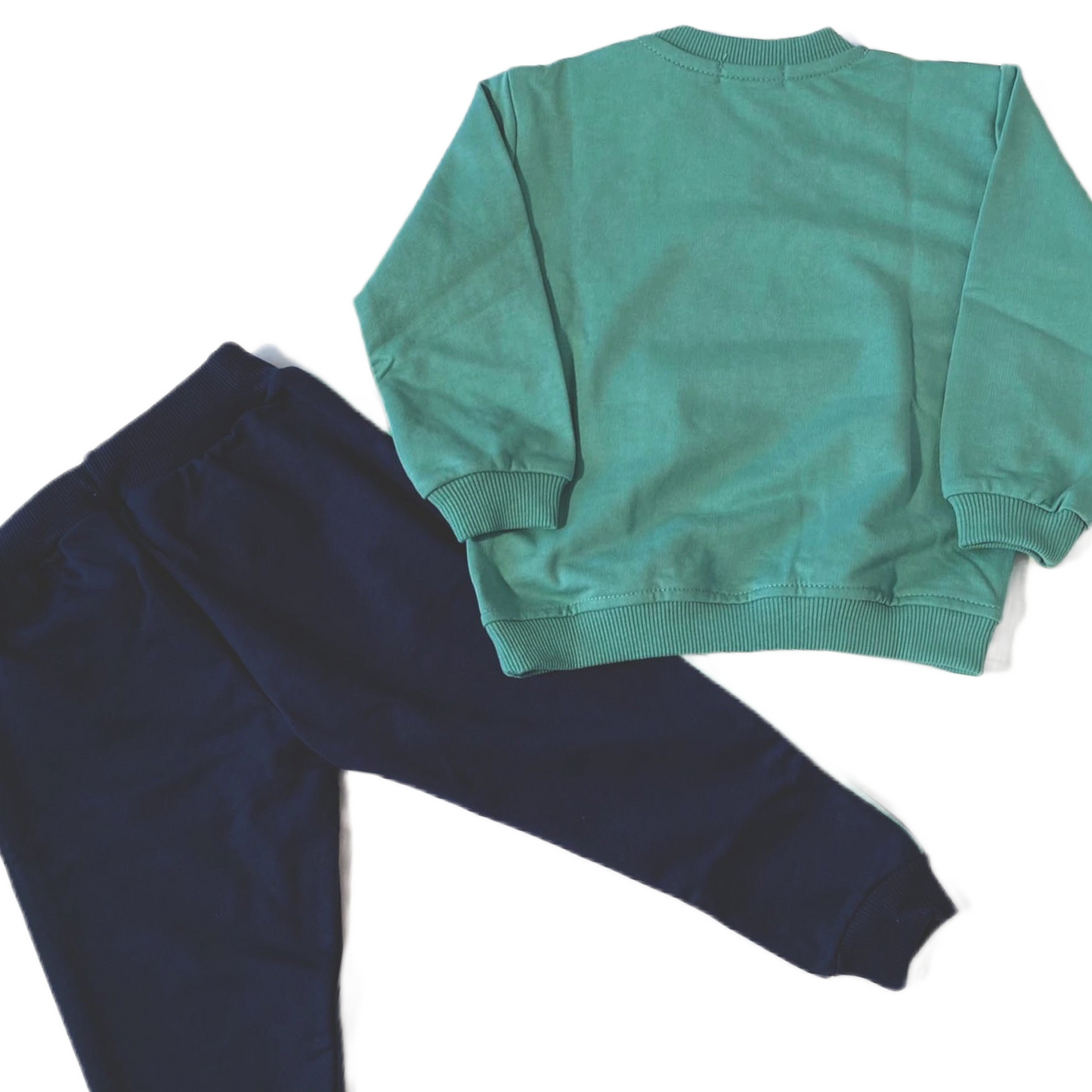 Ensemble jogging Zèbre