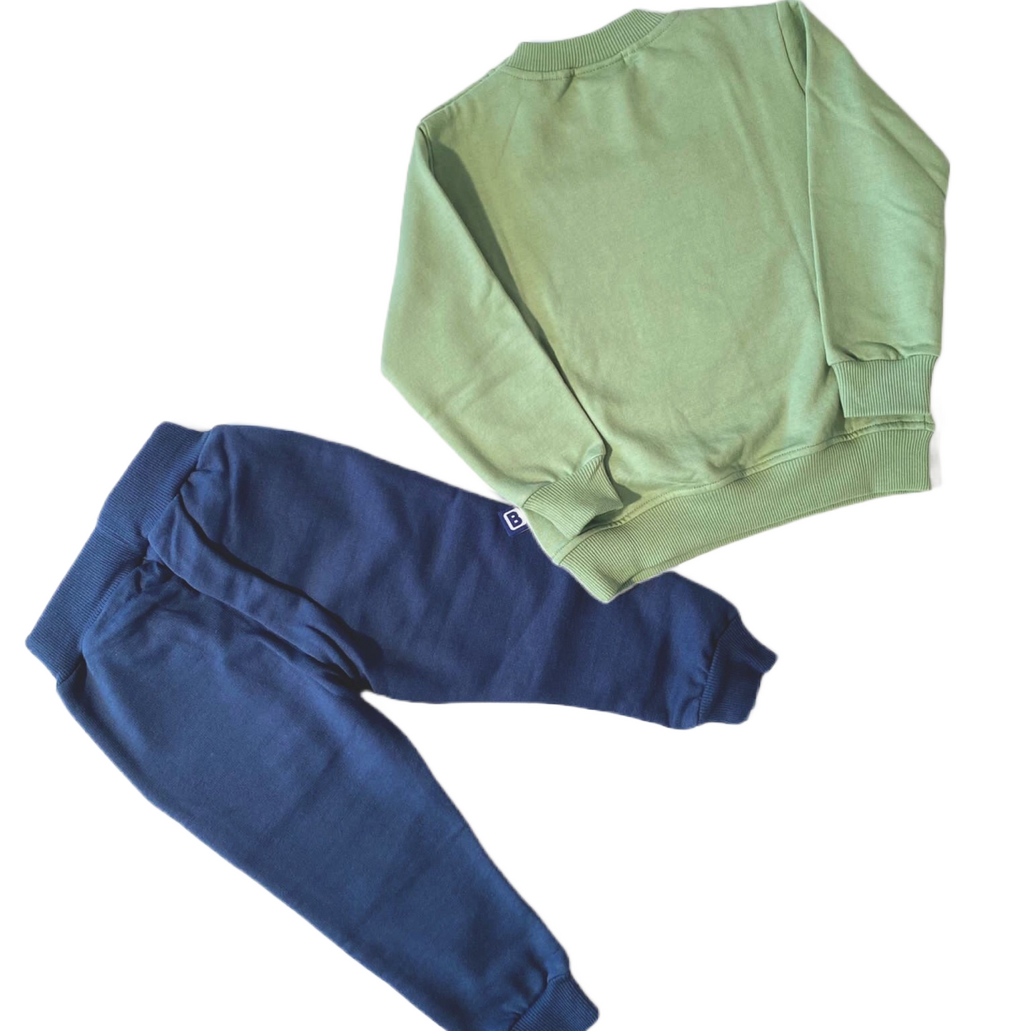 Ensemble jogging Dinosaure