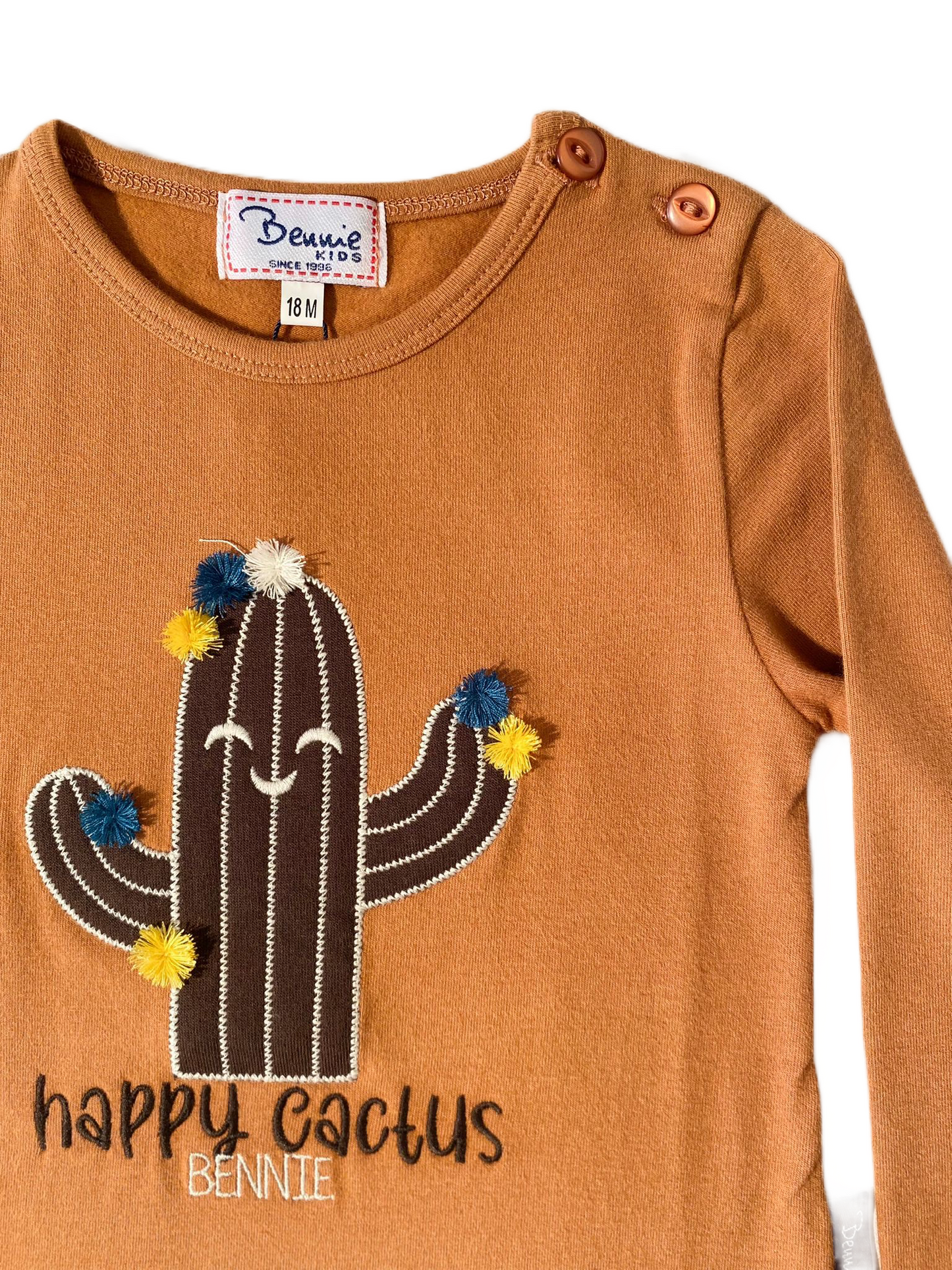 Haut orangé et cactus