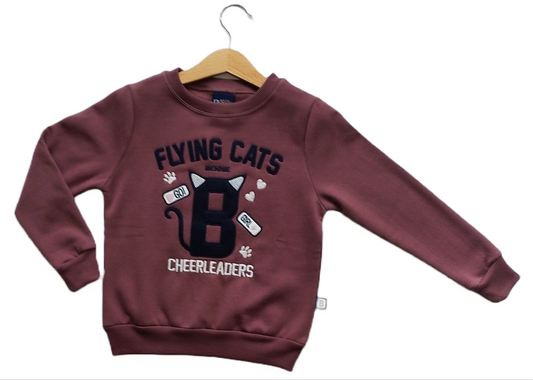 Sweat Flying Cats